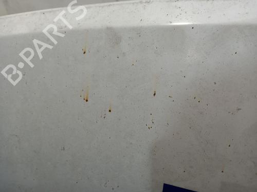 Hood FIAT DUCATO Van (250_) 130 Multijet 2,3 D | BP30396410C1