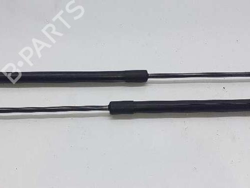 Tailgate lift support FORD FIESTA VI (CB1, CCN) 1.5 TDCi | BP14307952C138