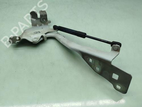 hingedoor-check-strap-renault-scenic-iii-jz01_-2008-2009-2010-2011-2012-2013-2014-2015-2016-32259018 main image