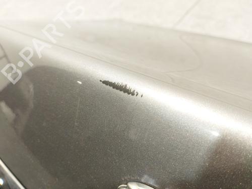 Tailgate JAGUAR XF I (X250) 3.0 D | BP18958042C6 