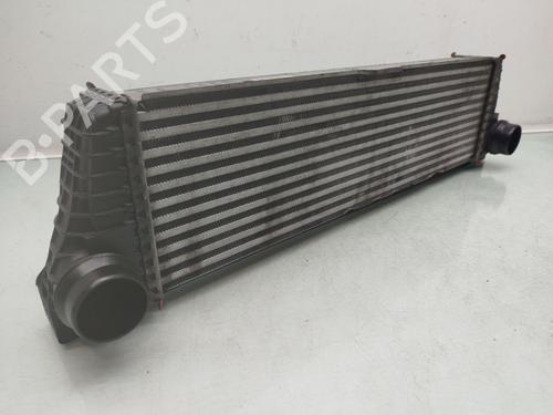 Used Intercooler MERCEDES-BENZ VIANO (W639) [2003-2025]  21266210