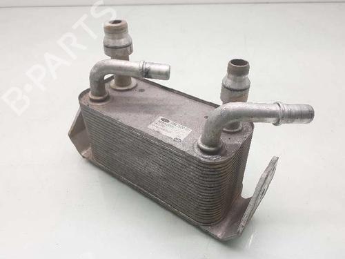 Oil radiator LAND ROVER RANGE ROVER SPORT I (L320) 3.6 D 4x4 | BP14308830M33 