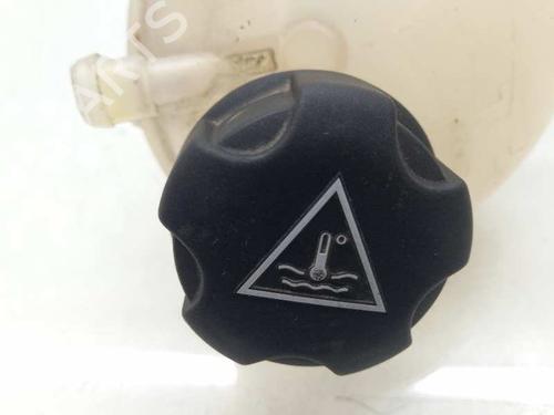 Expansion tank PEUGEOT 208 I (CA_, CC_)  | BP13552873C120
