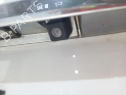 Tailgate RENAULT SCÉNIC III (JZ0/1_) 1.6 dCi (JZ00, JZ12) | BP32240373C6 