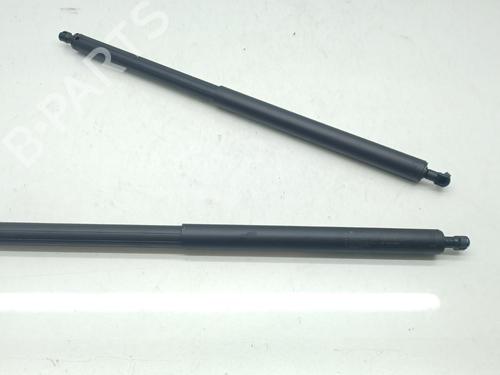 Used Tailgate lift support MERCEDES-BENZ V-CLASS (W447) V 300 CDI / d 4-matic (447.811, 447.813) (239 hp) 29133323