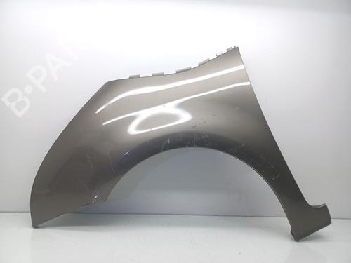 Used Left front fenders CITROËN C4 Picasso I MPV (UD_) 2.0 HDi 138 (136 hp) 16217074