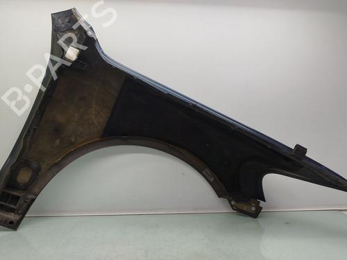 Left front fenders VW TOUAREG (7LA, 7L6, 7L7) 2.5 R5 TDI | BP25439475C41 