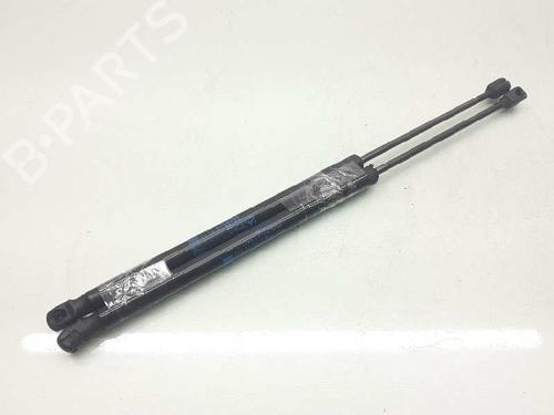 Tailgate lift support MERCEDES-BENZ B-CLASS Sports Tourer (W246, W242) B 180 CDI (246.200) | BP14309428C138 