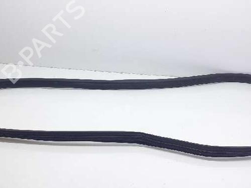 Used Rubber door seal FORD TRANSIT CONNECT V408 Box Body/MPV 1.5 EcoBlue (120 hp) 14307945