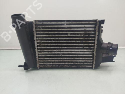 AC radiator DACIA DOKKER Express Box Body/MPV 1.5 dCi 75 / Blue dCi 75 (FEJW, FEAH) | BP24507973M32 