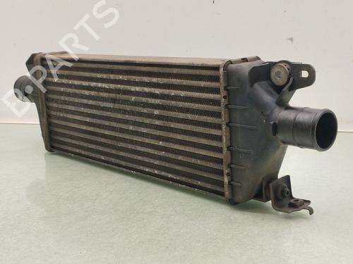 Intercooler FIAT SEDICI (189_) 2.0 D Multijet 4x4 | BP29154581M30 