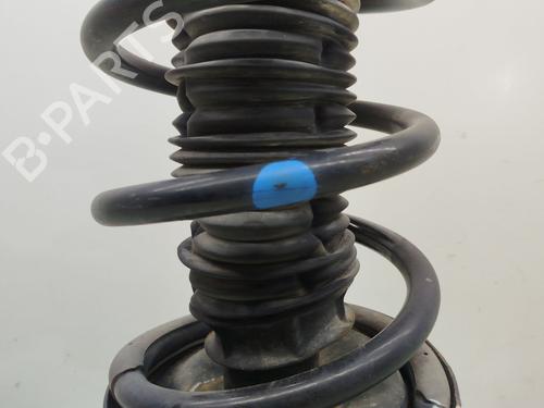 Right front shock absorber OPEL MOVANO B Van (X62)  | BP30121836M17 