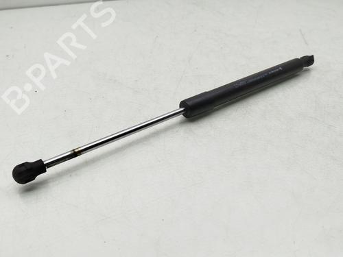 Hood lift support RENAULT CLIO IV (BH_) 1.5 dCi 90 | BP18418845C139 