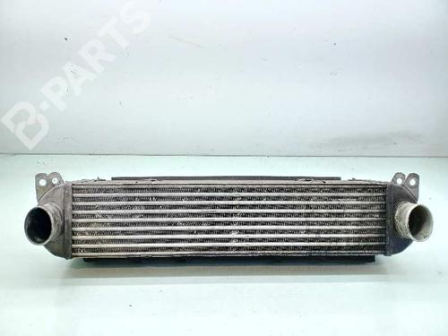 Used Intercooler LAND ROVER DISCOVERY III (L319) 2.7 TD 4x4 (190 hp) 11294445