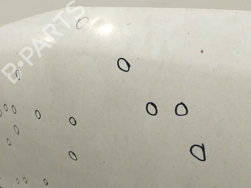 Hood OPEL MOVANO B Van (X62)  | BP29258998C1 