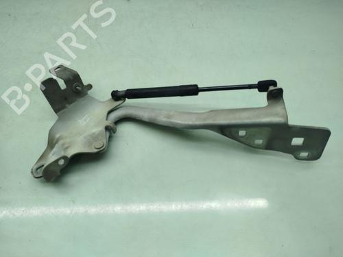 hingedoor-check-strap-renault-scenic-iii-jz01_-2008-2009-2010-2011-2012-2013-2014-2015-2016-32259031 main image