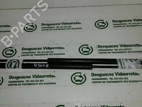 Used Tailgate lift support BMW X5 (E53) 4.4 i (286 hp) 14310019