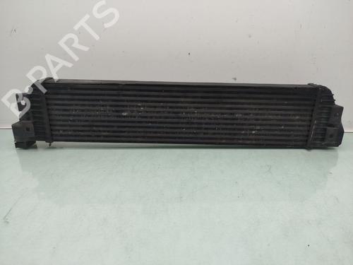 Intercooler OPEL MOVANO B Van (X62)  | BP29259010M30 