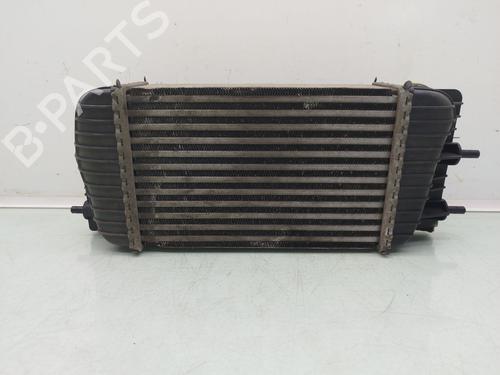 Intercooler NISSAN JUKE (F15) 1.6 DIG-T 4x4 | BP23958307M30 