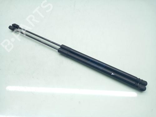 Used Tailgate lift support FORD FOCUS III 1.6 TDCi (115 hp) 17195587