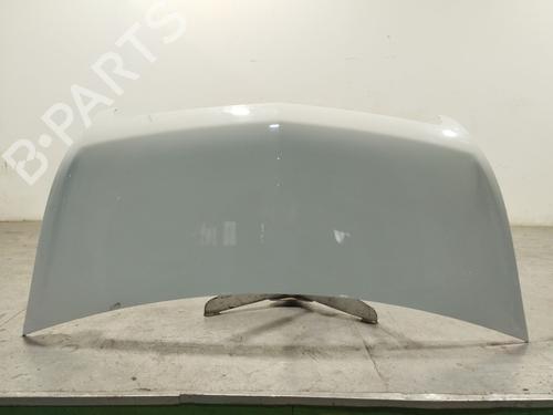 Hood OPEL MOVANO B Van (X62)  | BP29446649C1 