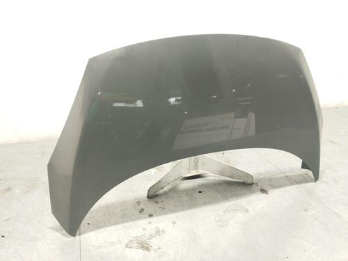 Hood RENAULT SCÉNIC III (JZ0/1_) 1.2 TCe | BP22980486C1 