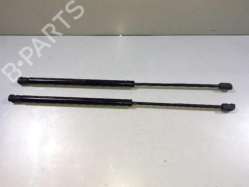 Tailgate lift support NISSAN MURANO I (Z50) 3.5 4x4 | BP14308036C138 