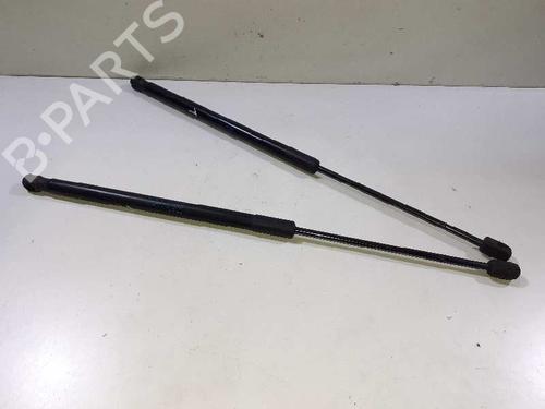 Used Tailgate lift support SKODA RAPID (NH3, NK3, NK6) 1.6 TDI (105 hp) 14308312