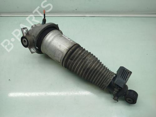 left-rear-shock-absorber-vw-touareg-7la-7l6-7l7-2002-2003-2004-2005-2006-2007-2008-2009-2010-2011-2012-2013-31310050 main image
