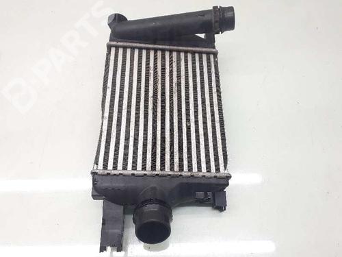Used Intercooler Intercooler DACIA SANDERO II TCe 90 (B8M1, B8MA, B8AC) (90 hp) 10386106 10386106