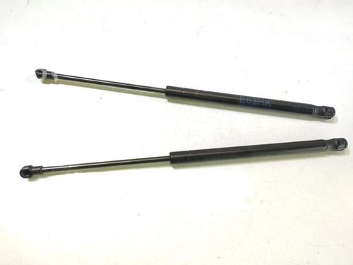 Used Tailgate lift support BMW 6 (E63) 645 Ci (333 hp) 16934328