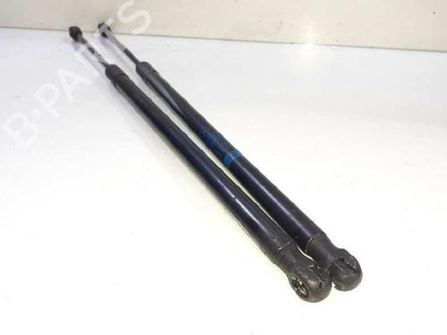Hood lift support MERCEDES-BENZ E-CLASS (W212) E 220 CDI / BlueTEC (212.001, 212.002) | BP14309163C139 