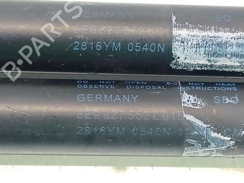 Tailgate lift support AUDI A4 B7 Avant (8ED) 2.0 TDI 16V | BP14309738C138 