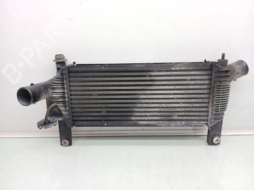 Intercooler NISSAN PATHFINDER III (R51) 2.5 dCi 4WD (171 hp) 33016450