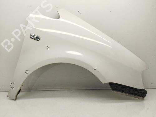 Guarda-lamas direito VW CADDY III Box Body/MPV (2KA, 2KH, 2CA, 2CH) 2.0 SDI (70 hp) 32110503