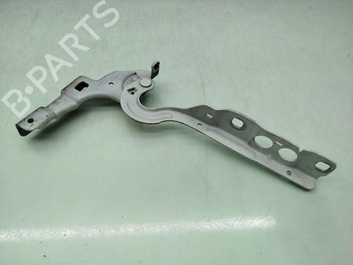 hingedoor-check-strap-citroen-c4-ii-nc_-2009-35800932 main image