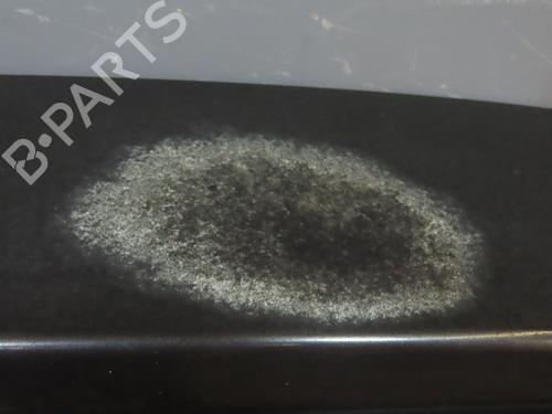 Tailgate OPEL CORSA D (S07) 1.3 CDTI (L08, L68) | BP23115983C6 