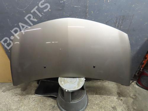 Used Hood RENAULT CLIO III (BR0/1, CR0/1) 1.5 dCi (C/BR0G, C/BR1G) (68 hp) 16361439