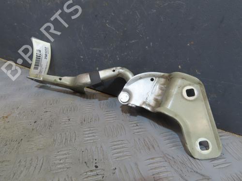 hingedoor-check-strap-renault-clio-iii-br01-cr01-2005-2006-2007-2008-2009-2010-2011-2012-2013-2014-32100364 main image