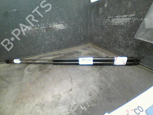Used Tailgate lift support SEAT TOLEDO III (5P2) 1.9 TDI (105 hp) 14873576