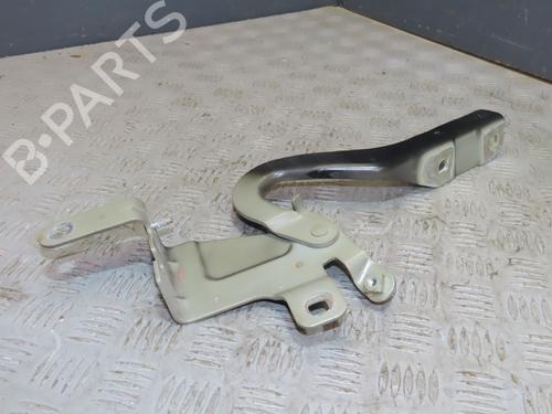 Used Hinge/Door check strap RENAULT CLIO IV (BH_) 1.5 dCi 75 (75 hp) 24519543