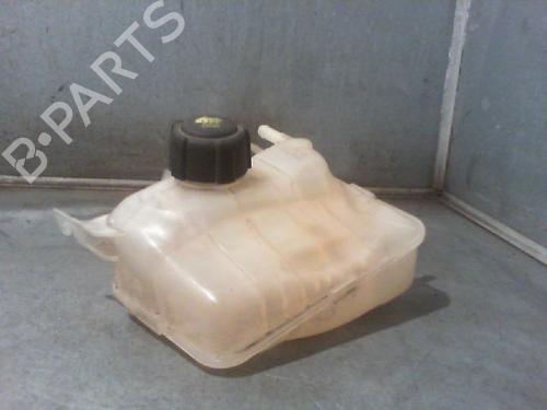 Ekpansionstank RENAULT MEGANE III Hatchback (BZ0/1_, B3_) 1.5 dCi (106 hp) 23112182