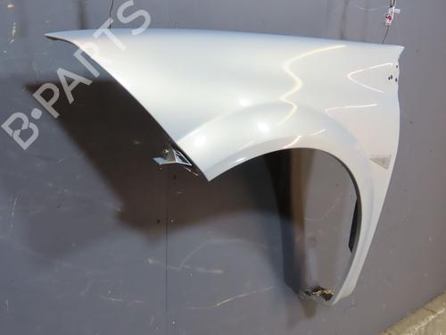 Used Left front fenders Left front fenders RENAULT MEGANE II (BM0/1_, CM0/1_) [2001-2012] 19497854 19497854