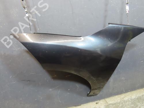 Kotflügel links vorne RENAULT MEGANE CC (EZ0/1_) 1.9 dCi (EZ0J, EZ1S) | BP29901854C41