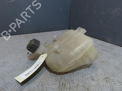 Ekspansjonstank RENAULT TWINGO II (CN0_) 1.2 16V (CN0K, CN0V, CN0A) (76 hp) 24480554