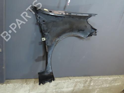 Left front fenders RENAULT CLIO III (BR0/1, CR0/1) 1.5 dCi (BR17, CR17) | BP18277129C41 