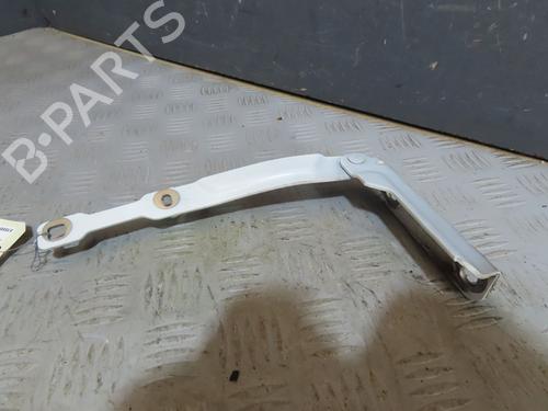 hingedoor-check-strap-dacia-sandero-ii-2012-30630766 main image