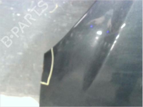 Hood CITROËN XSARA PICASSO (N68) 2.0 HDi | BP13310265C1 