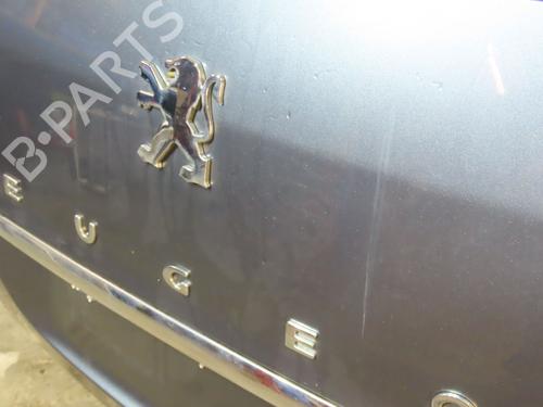 Tailgate PEUGEOT 807 (EB_) 2.0 HDI | BP21274297C6