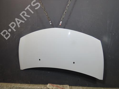 hood-renault-clio-iii-br01-cr01-2005-2006-2007-2008-2009-2010-2011-2012-2013-2014-24534212 main image